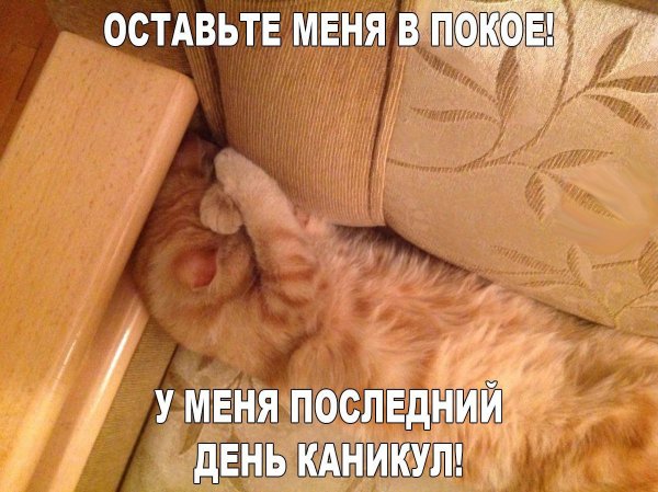 Оставьте меня в покое