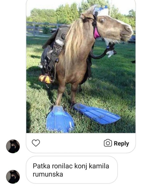 Конь прикол