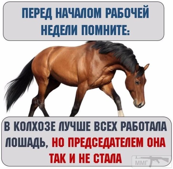 Лошадь и работа приколы