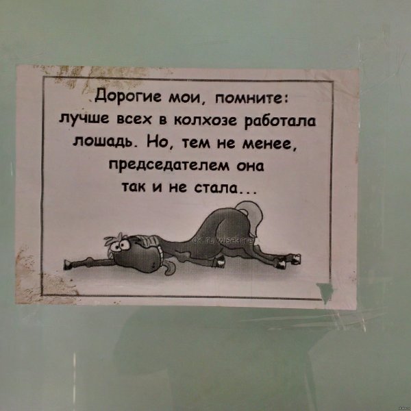 Шутки на тему работы