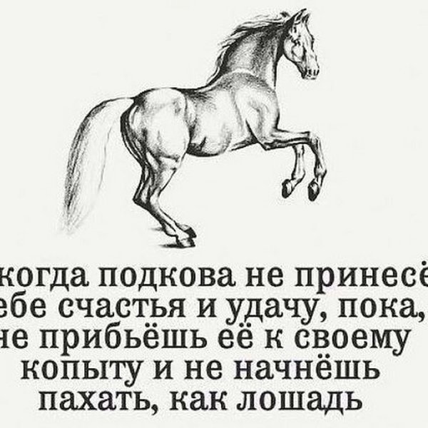 Никогда подкова не принесет тебе счастья и удачу пока
