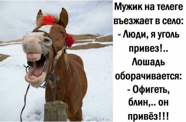 Женщина работает как лошадь