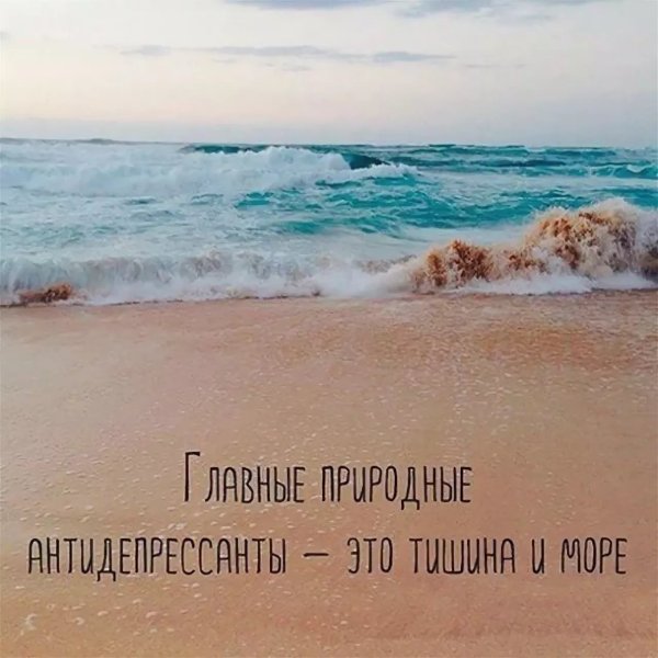Кот в шоке