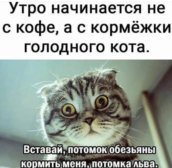 Мне тебя не хватает