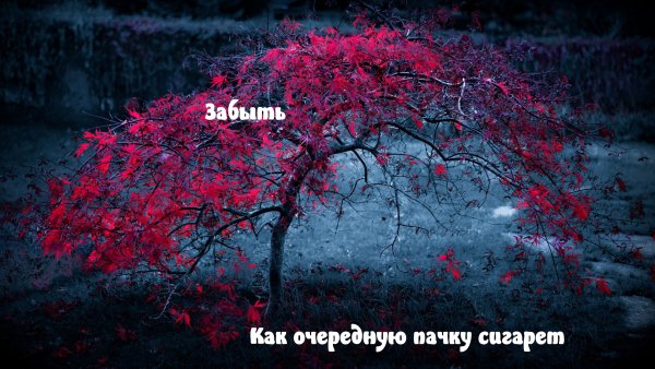 Прости меня за меня