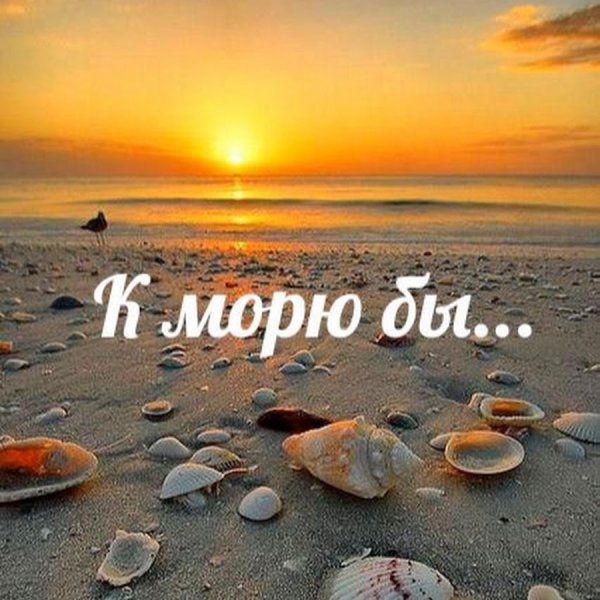 Цитаты о море короткие и красивые