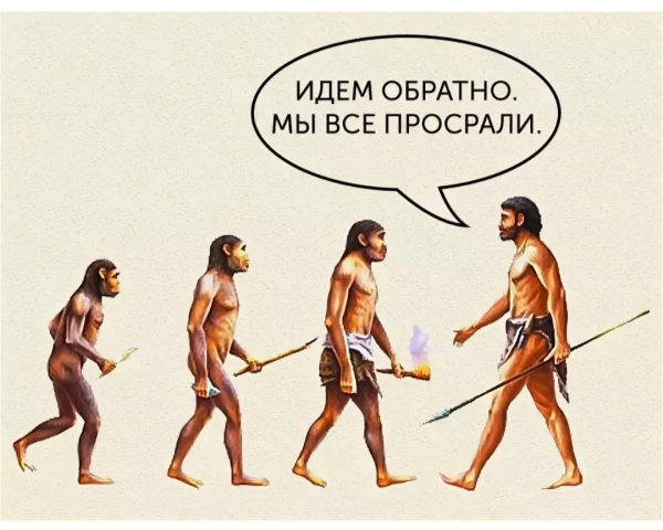 Эволюция в картинках юмор