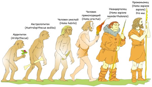 Неандерталец и хомо сапиенс
