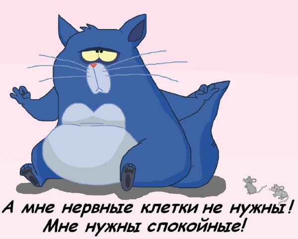 Цитаты про спокойствие смешные