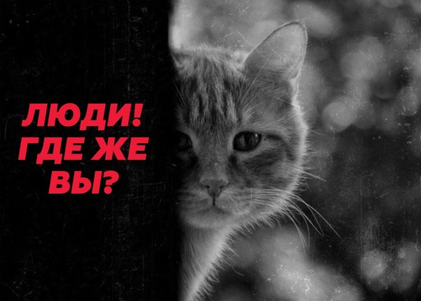 Грустно и тоскливо