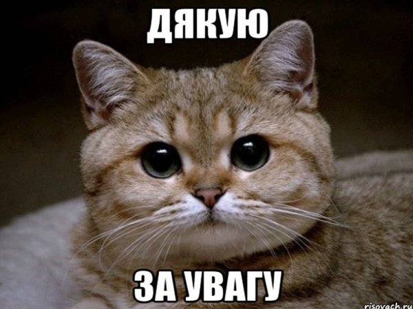 Кот Пидрила