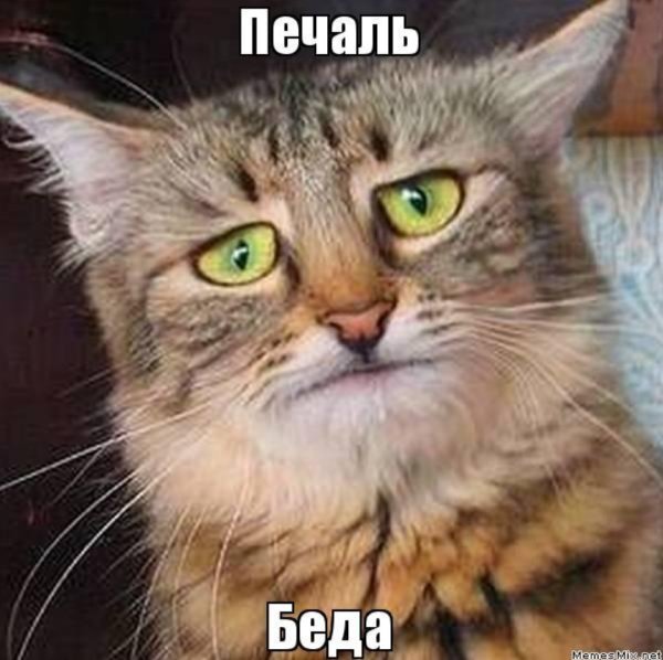 Завтра понедельник