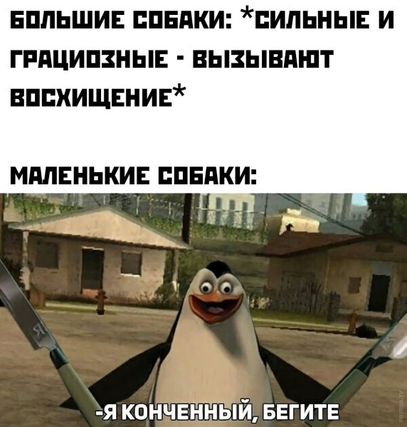 Я конченый бегите