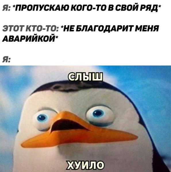 Слышь хуило Мем Пингвин