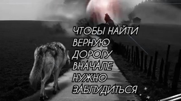 Молчать о любви