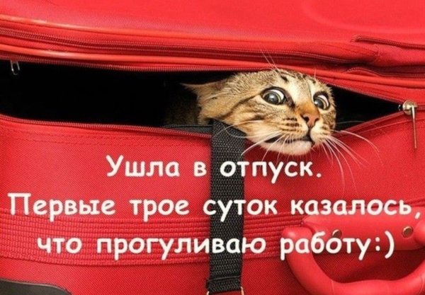 Я В отпуске