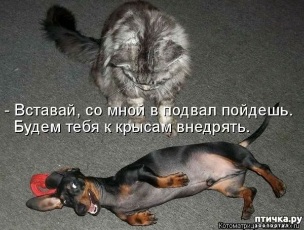 Печальные надписи
