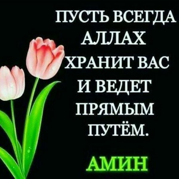 Пусть Аллах хранит вас