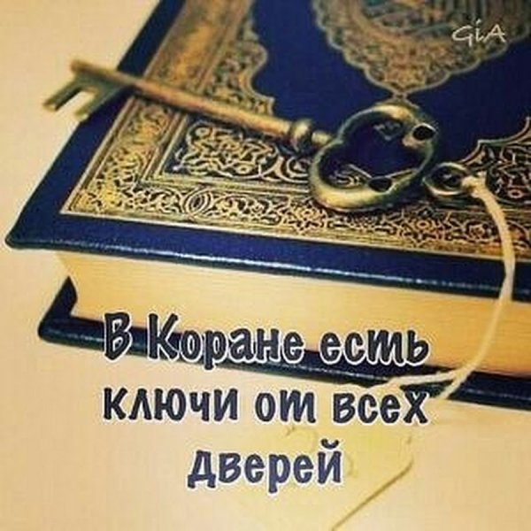 Красивые фразы из Корана