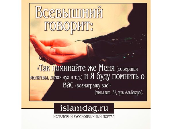 Ислам высказывания