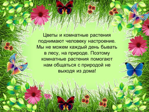 Стихи про август
