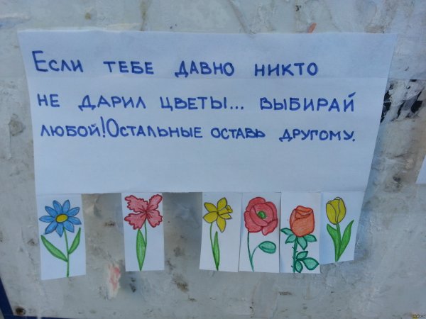 Объявление если вам давно не дарили цветы