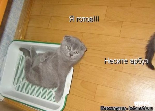 Смешные надписи на дверь