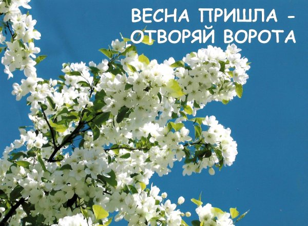 С первым днем весны