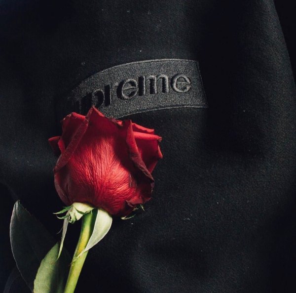 Роза на аву для парня