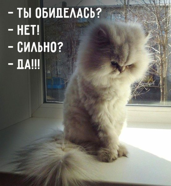 Ты обиделась