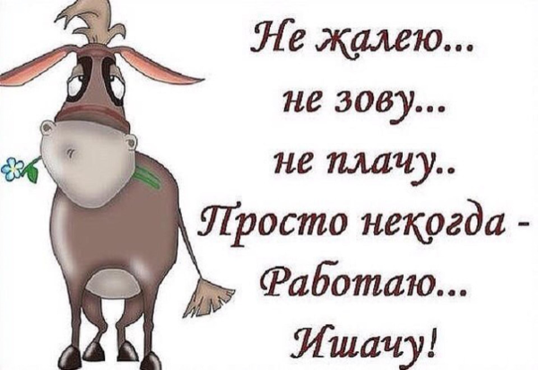 Цитаты про работу смешные