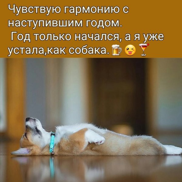 Цитаты про усталость смешные