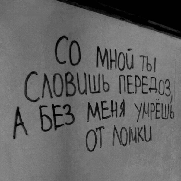 Влюбленный дурак