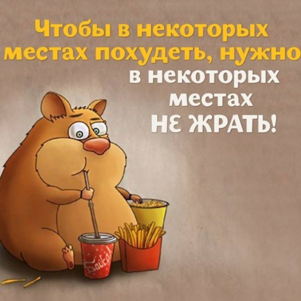Высказывания о похудении
