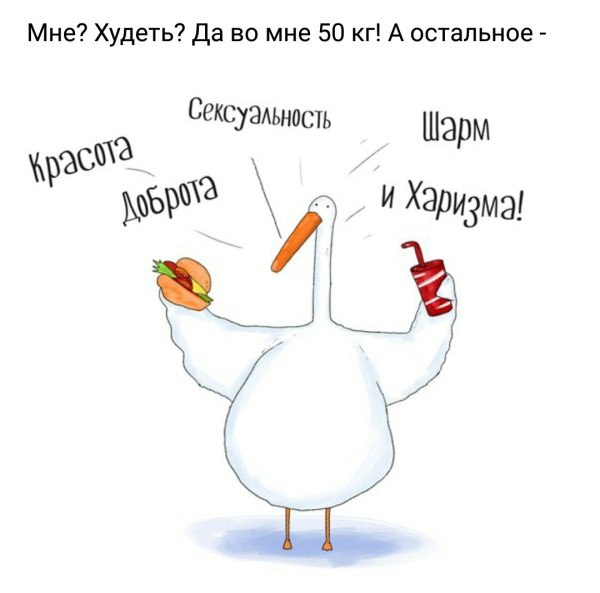 Шутки про гуся