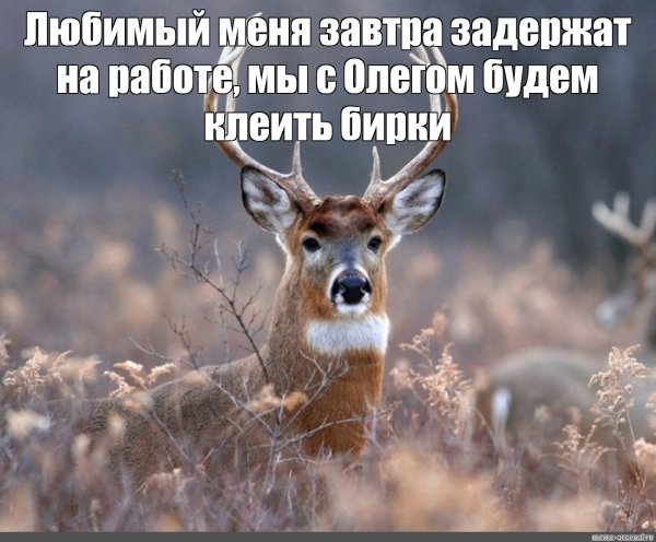 Нравятся парни которые качаются