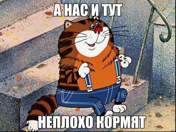 Плачет киска в коридоре