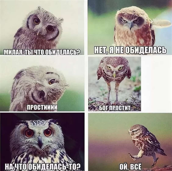 Я не обиделась