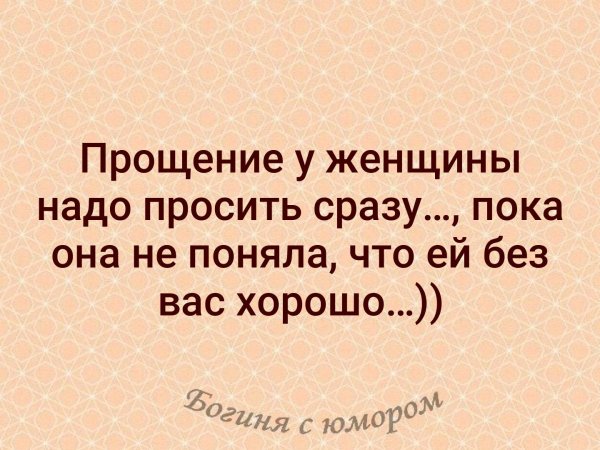 Прощение у женщины надо просить сразу пока она не поняла