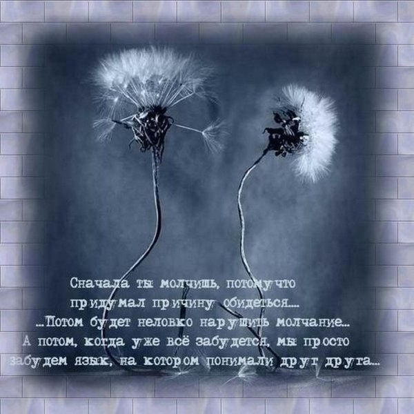 Непонимание цитаты