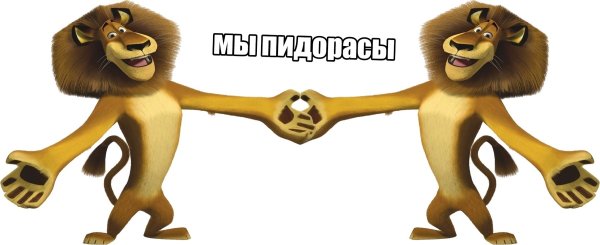Лев Алекс с монобровью