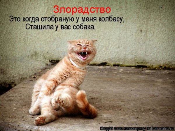 Отпусти меня чудо трава