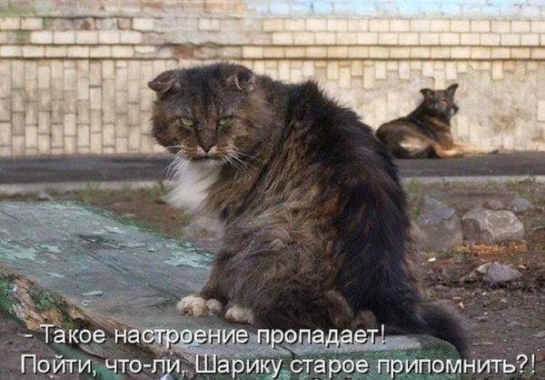 Ждешь парня с командировки