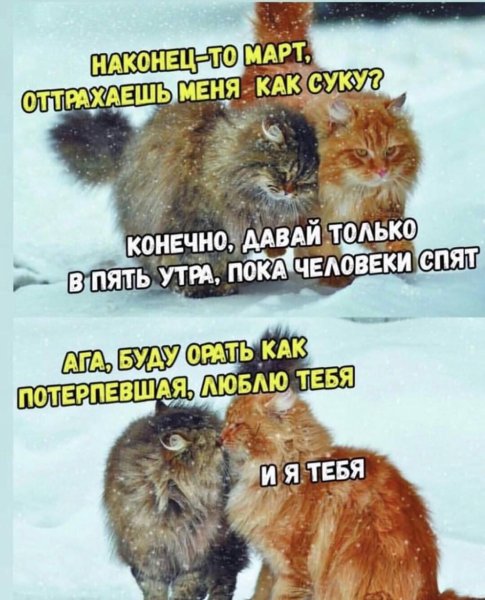 Хочется тепла и солнца