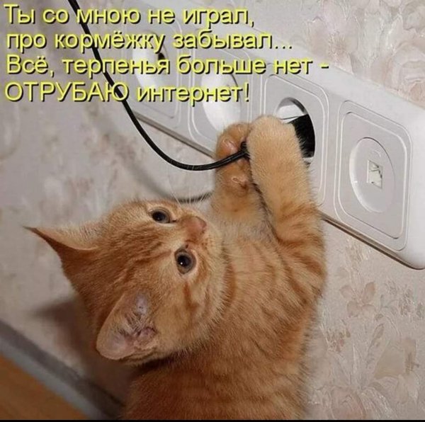 Пожрать и поспать