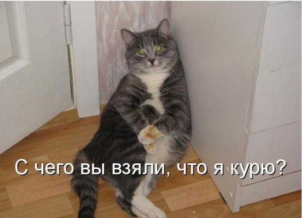 Возвращайся скорее