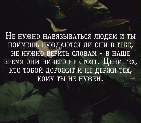 Цитаты мне нужен человек
