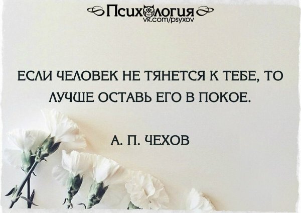 Макс Фрай цитаты и афоризмы
