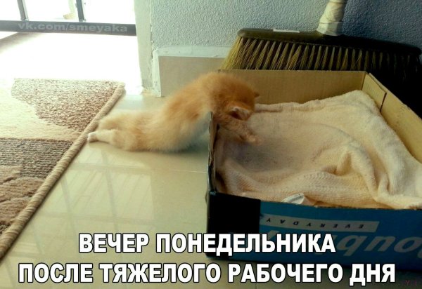 Устала прикол