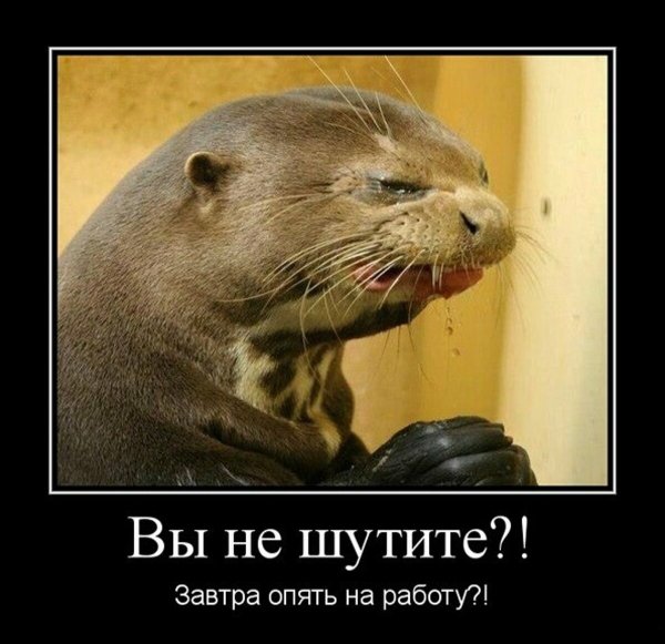 Завтра на работу прикольные